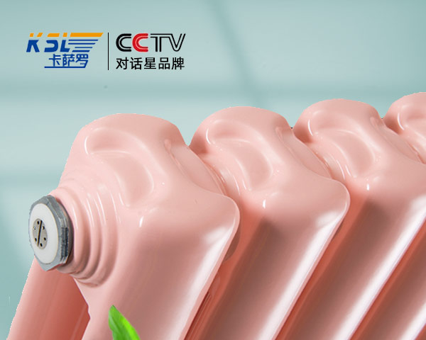 鋼制散熱器50X25圓